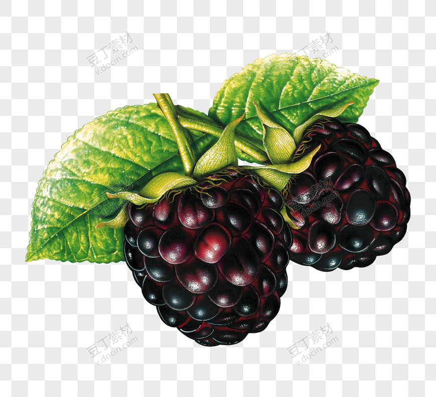 黑莓_ (30)