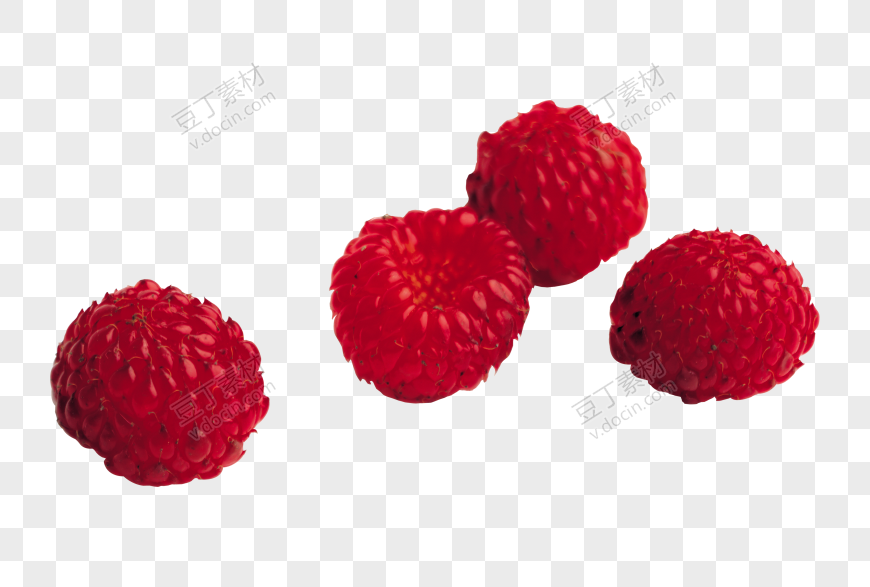 树莓、山莓、山抛子、 (26)
