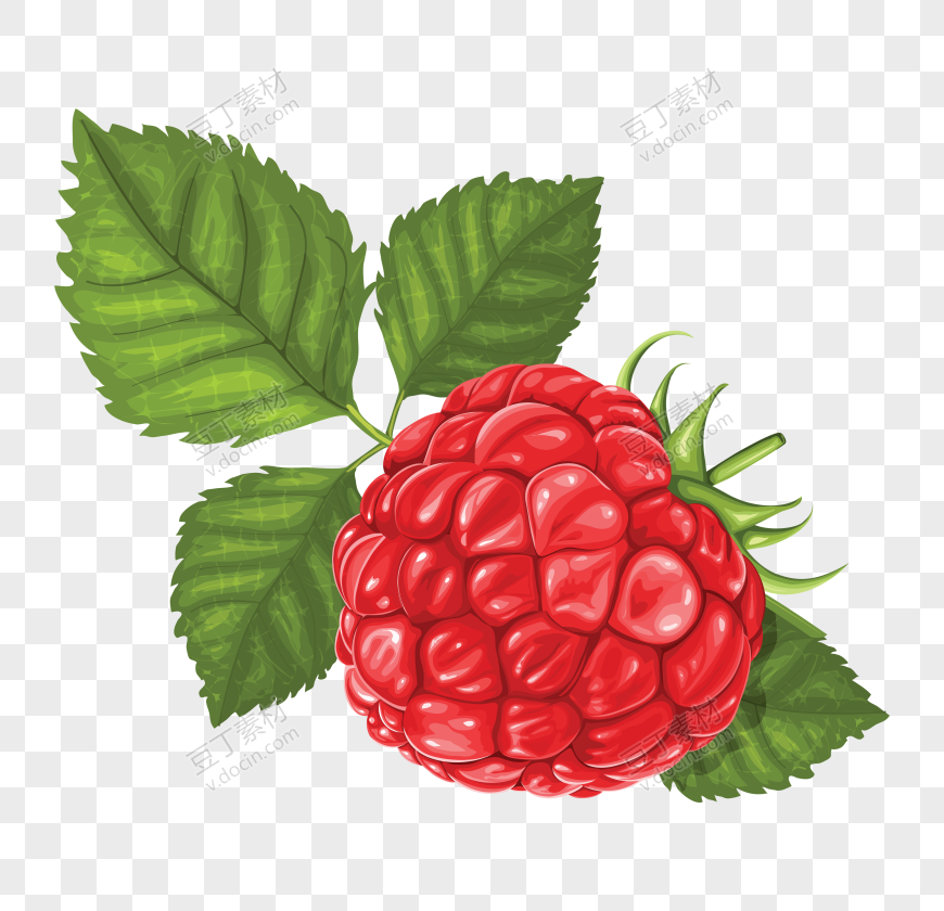 树莓、山莓、山抛子、 (29)