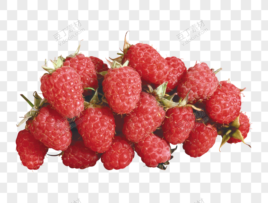 树莓、山莓、山抛子、 (31)