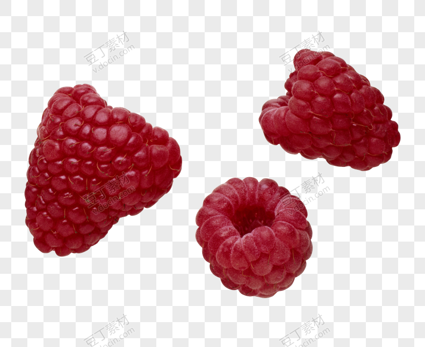树莓、山莓、山抛子、 (32)