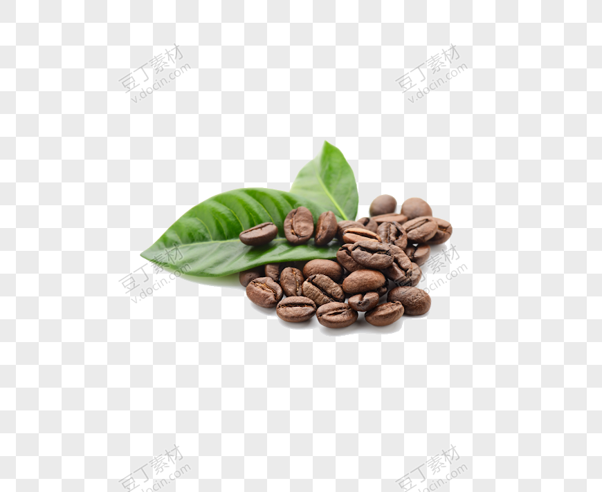 咖啡豆 (3)