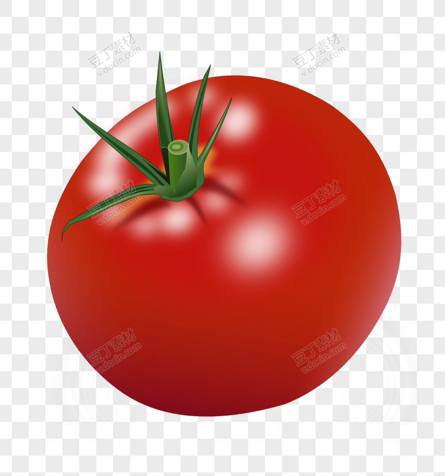 番茄、西红柿 (2)