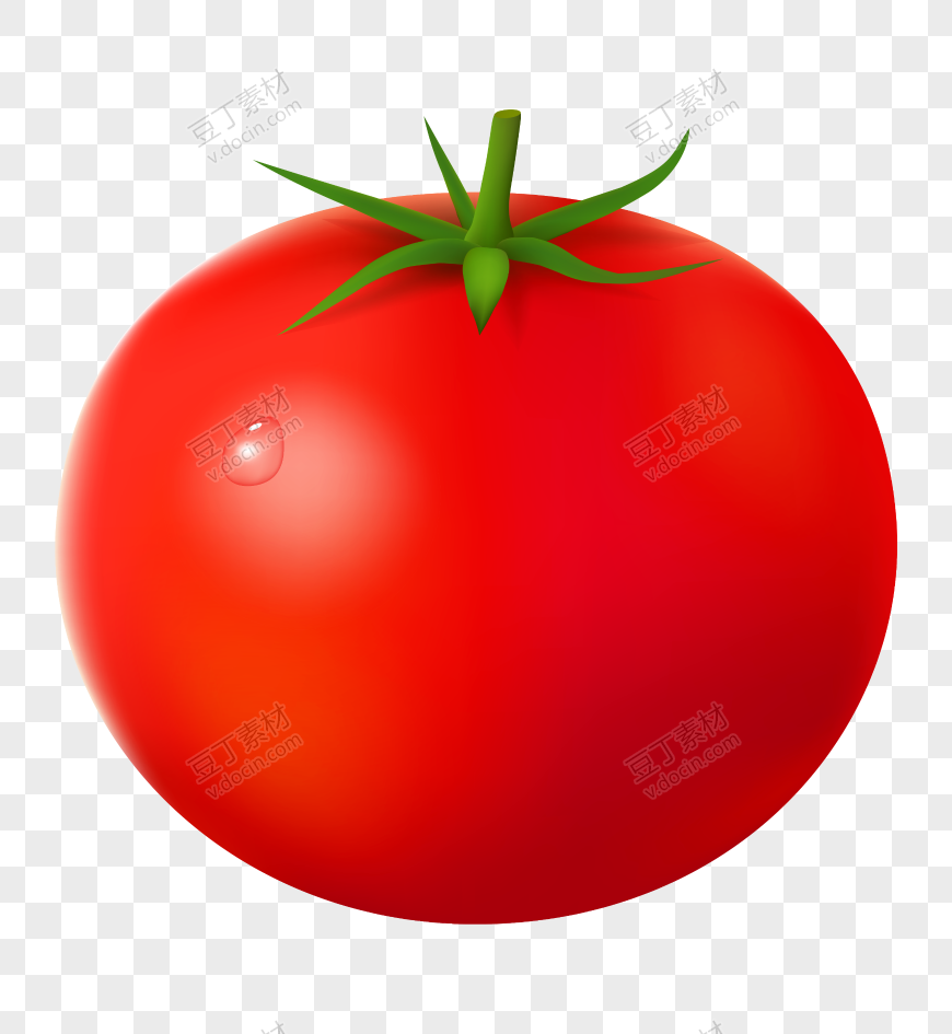 番茄、西红柿 (5)