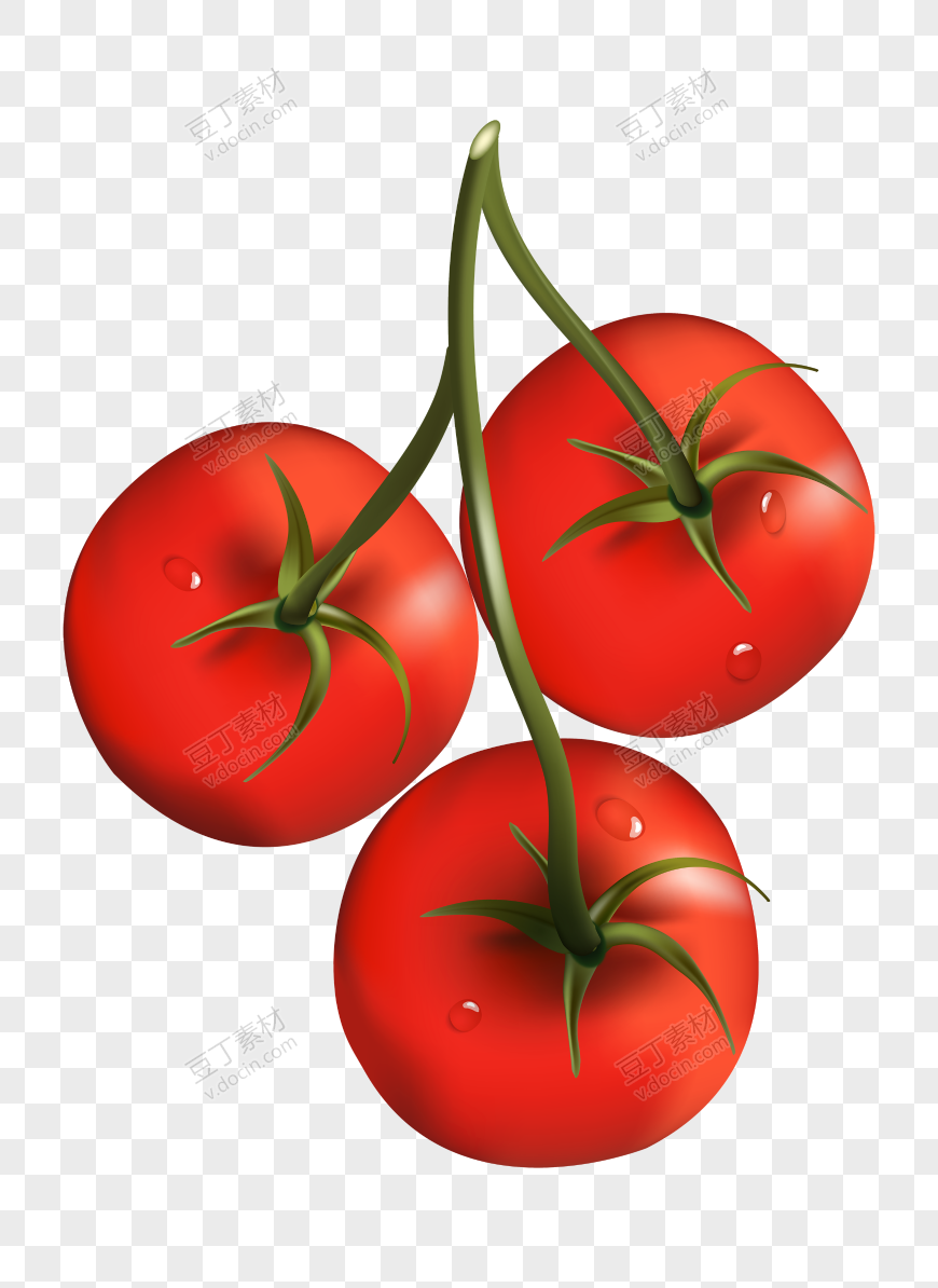 番茄、西红柿 (7)