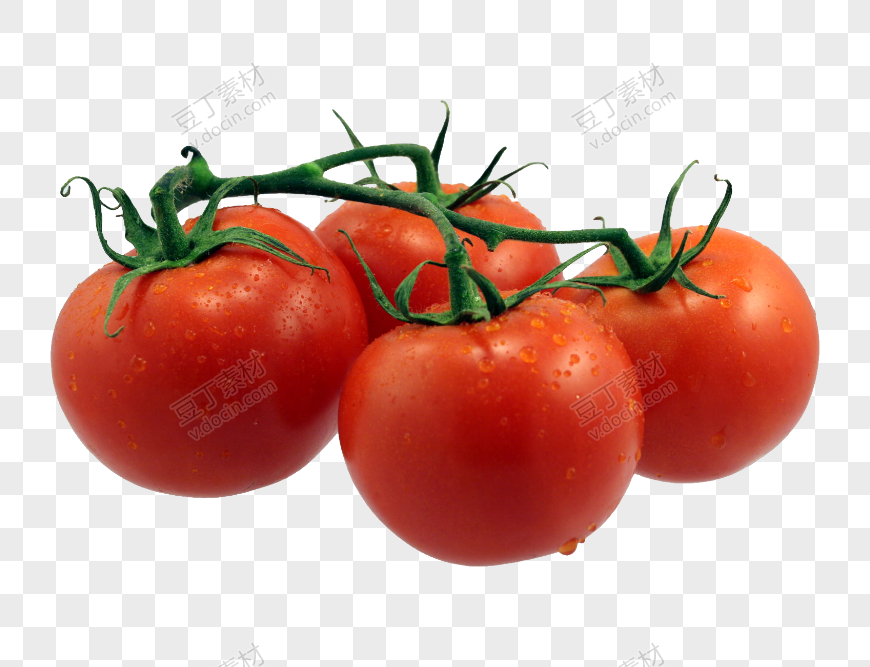 番茄、西红柿 (10)
