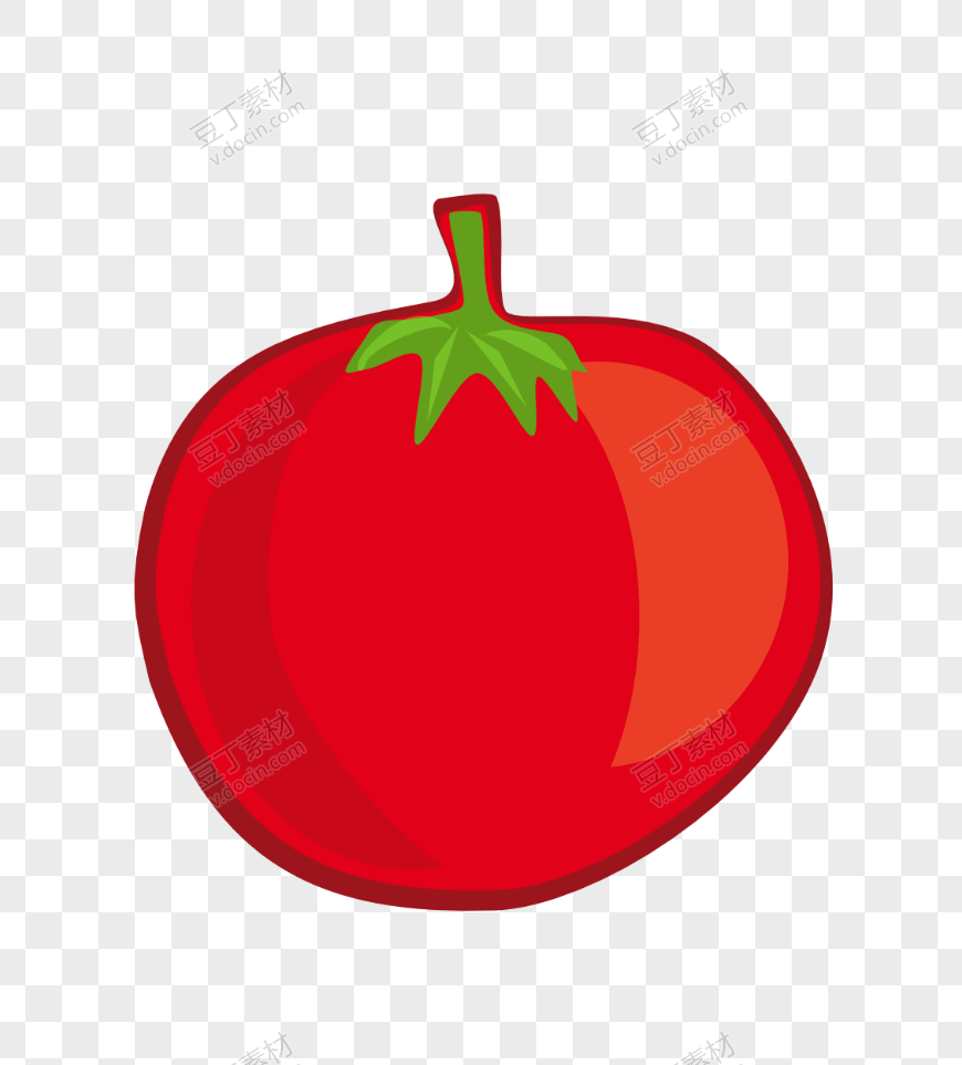 番茄、西红柿 (14)