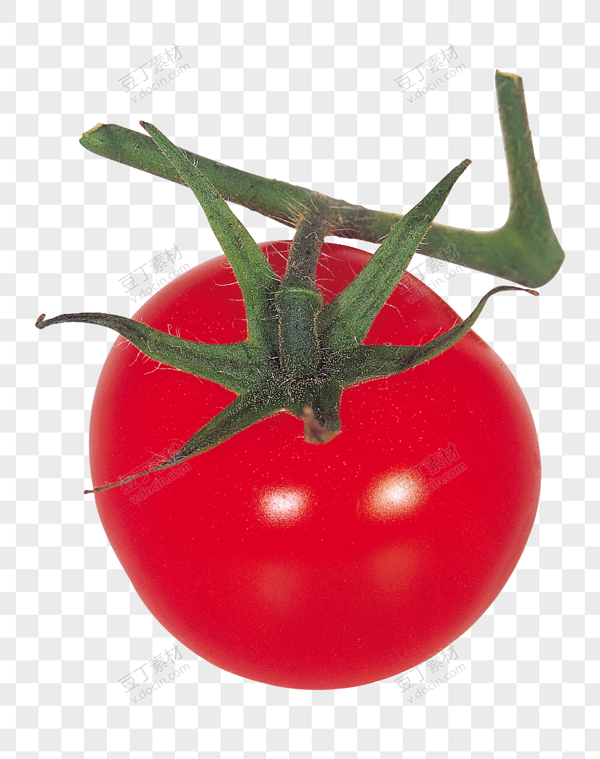 番茄、西红柿 (22)