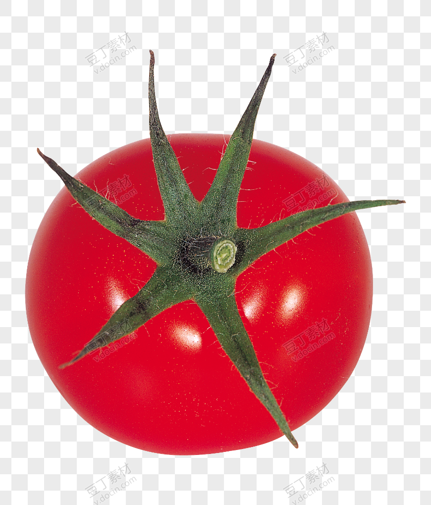番茄、西红柿 (23)