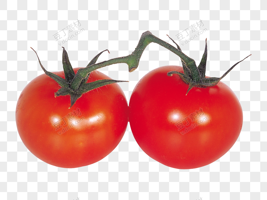 番茄、西红柿 (24)