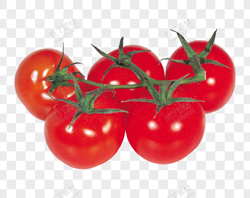 番茄、西红柿 (25)