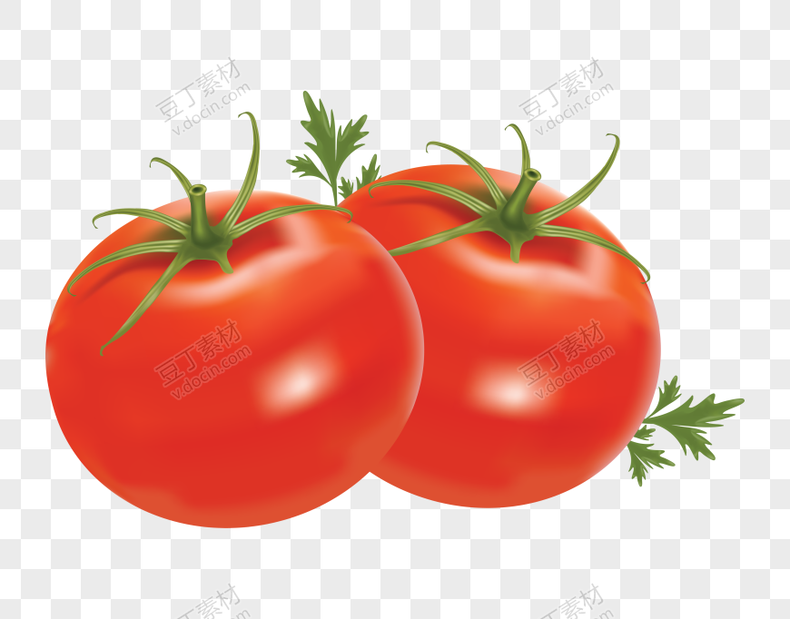 番茄、西红柿 (27)