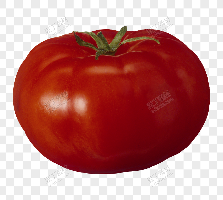 番茄、西红柿 (32)