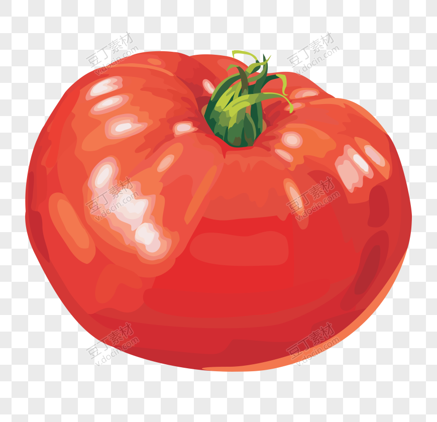 番茄、西红柿 (33)