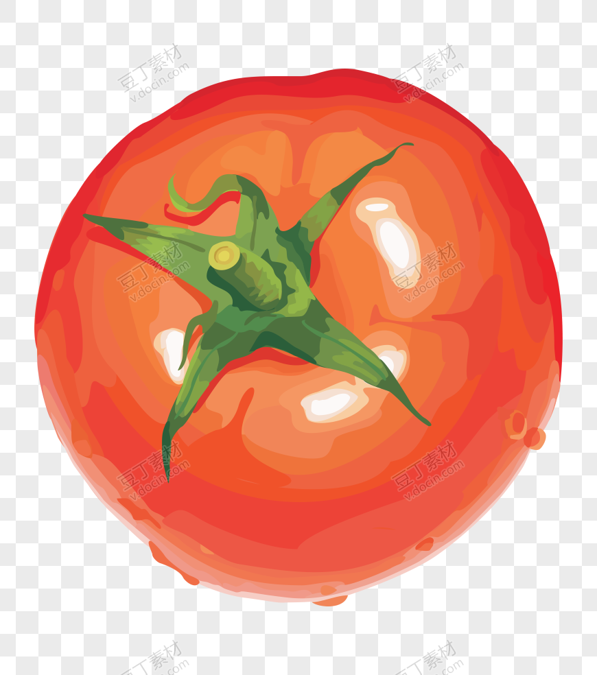 番茄、西红柿 (34)