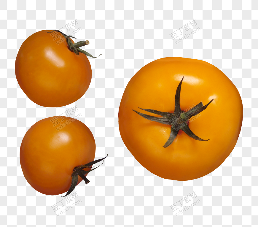 番茄、西红柿 (35)