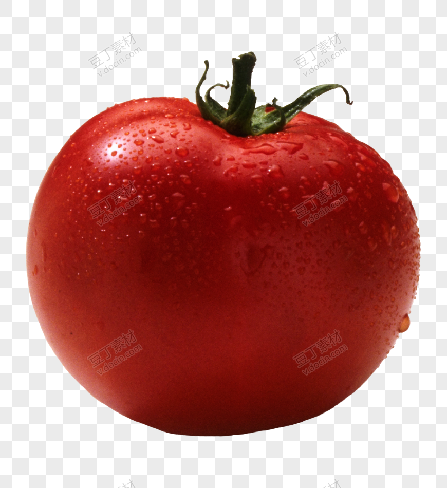 番茄、西红柿 (41)