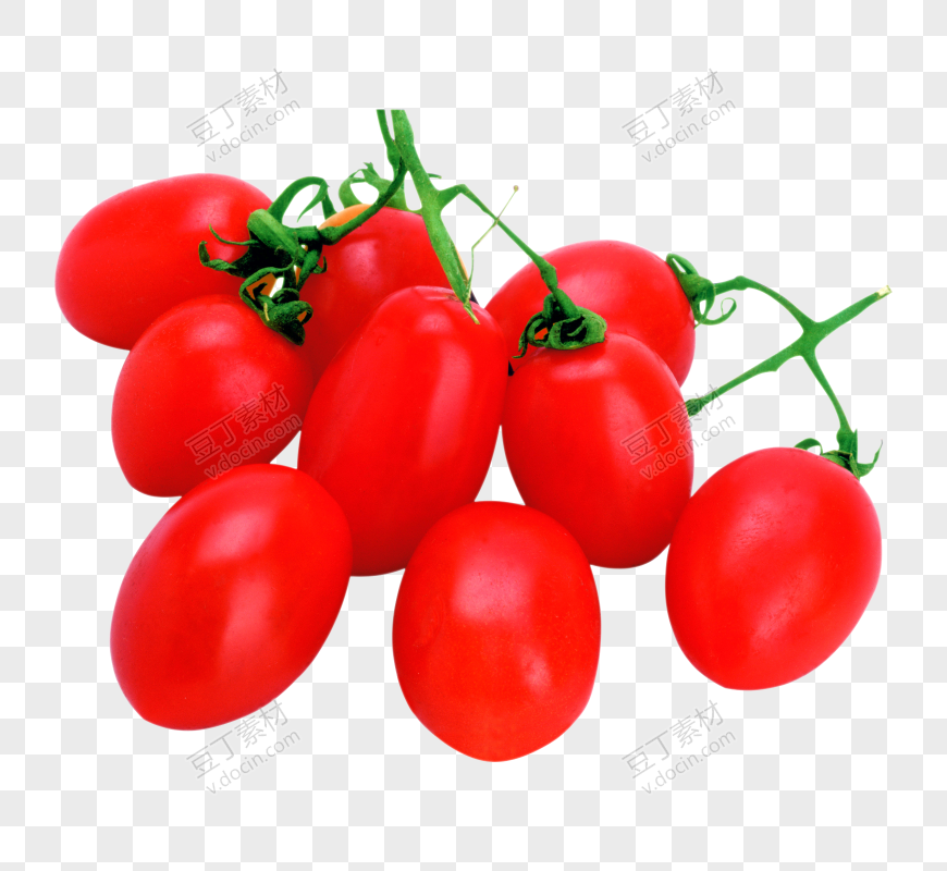 番茄、西红柿 (43)