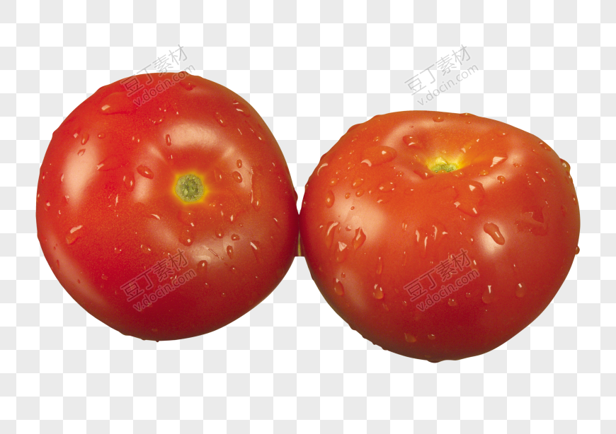 番茄、西红柿 (45)
