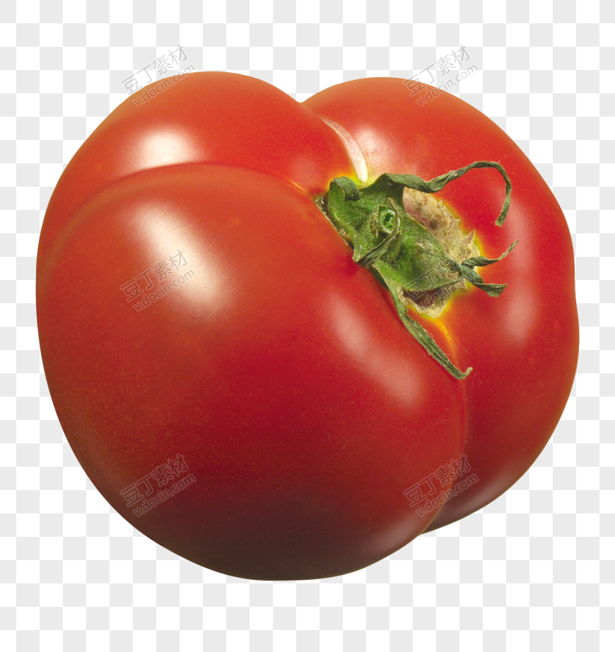 番茄、西红柿 (47)