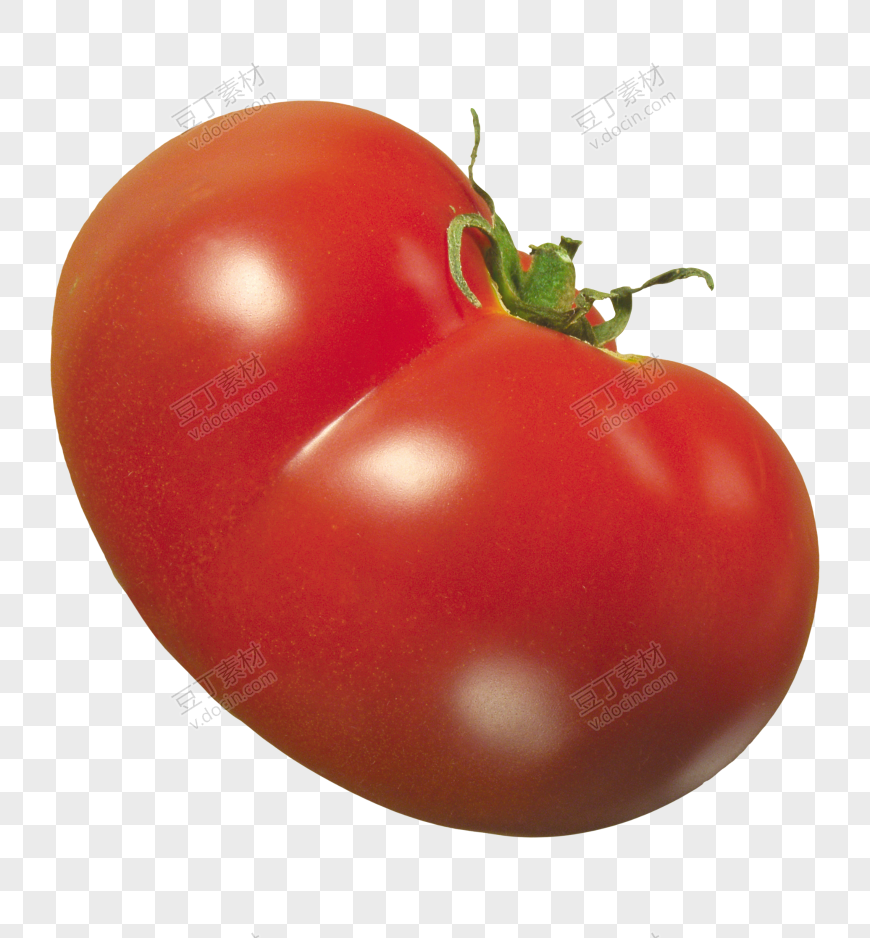 番茄、西红柿 (48)