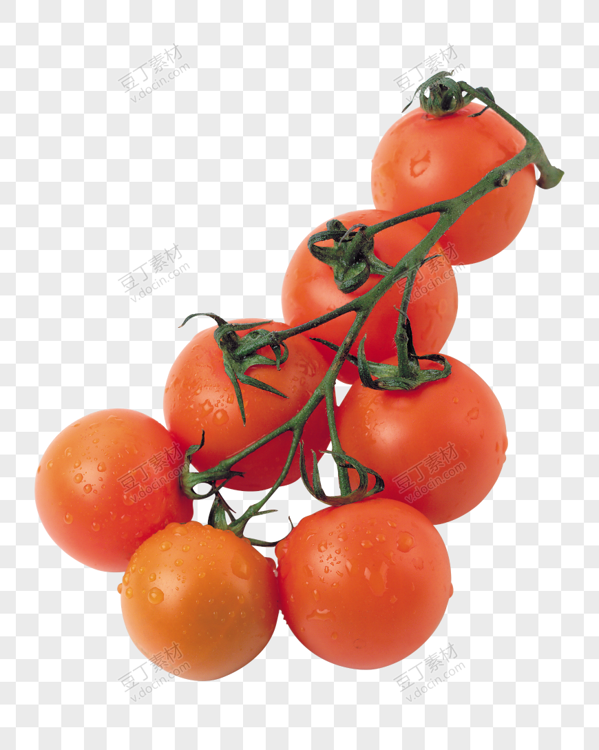 番茄、西红柿 (50)