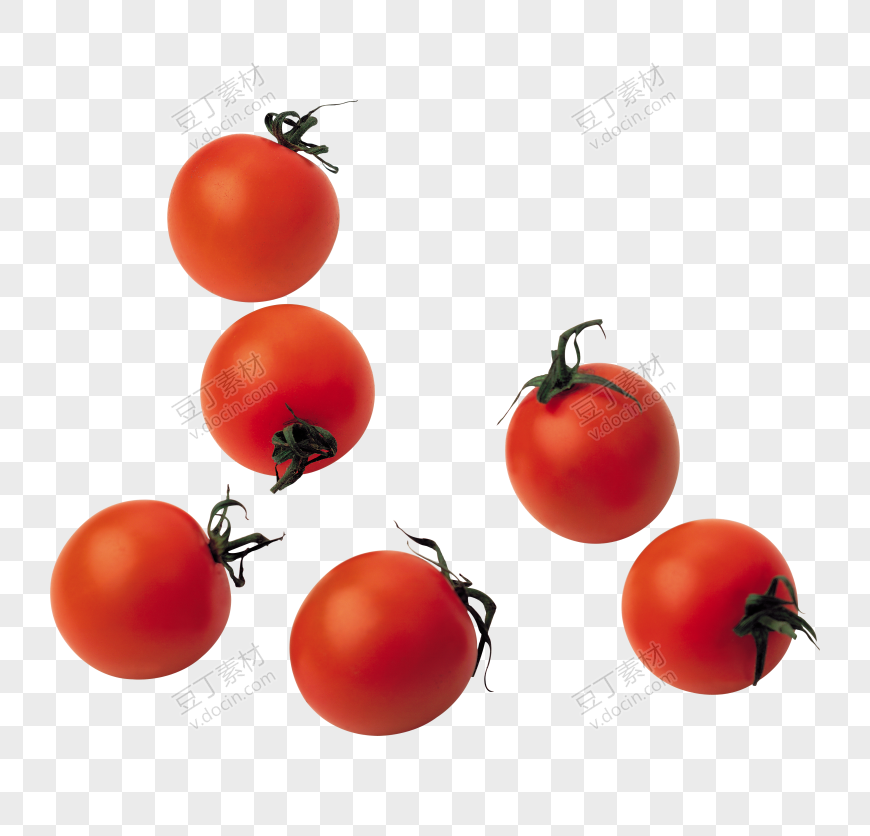 番茄、西红柿 (51)