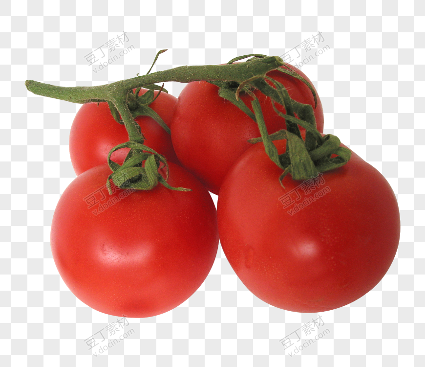 番茄、西红柿 (53)