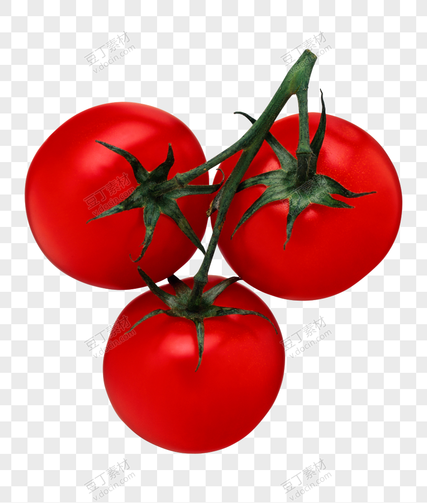 番茄、西红柿 (54)