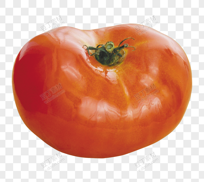 番茄、西红柿 (56)