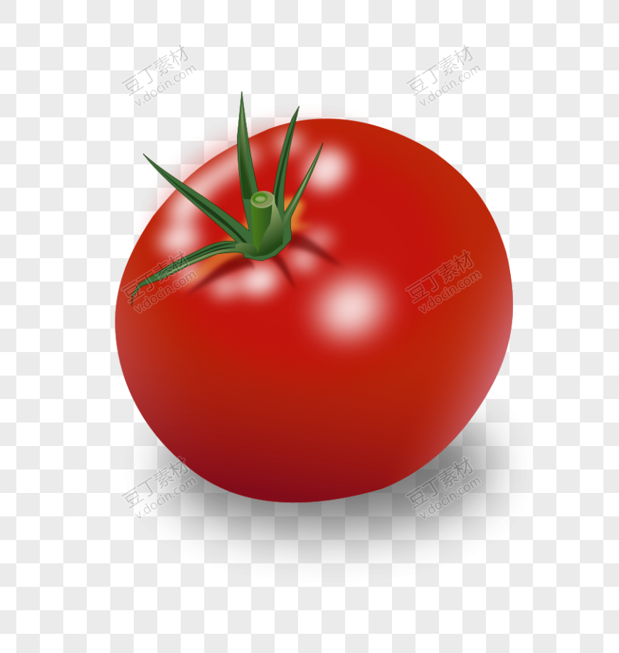 番茄、西红柿 (63)