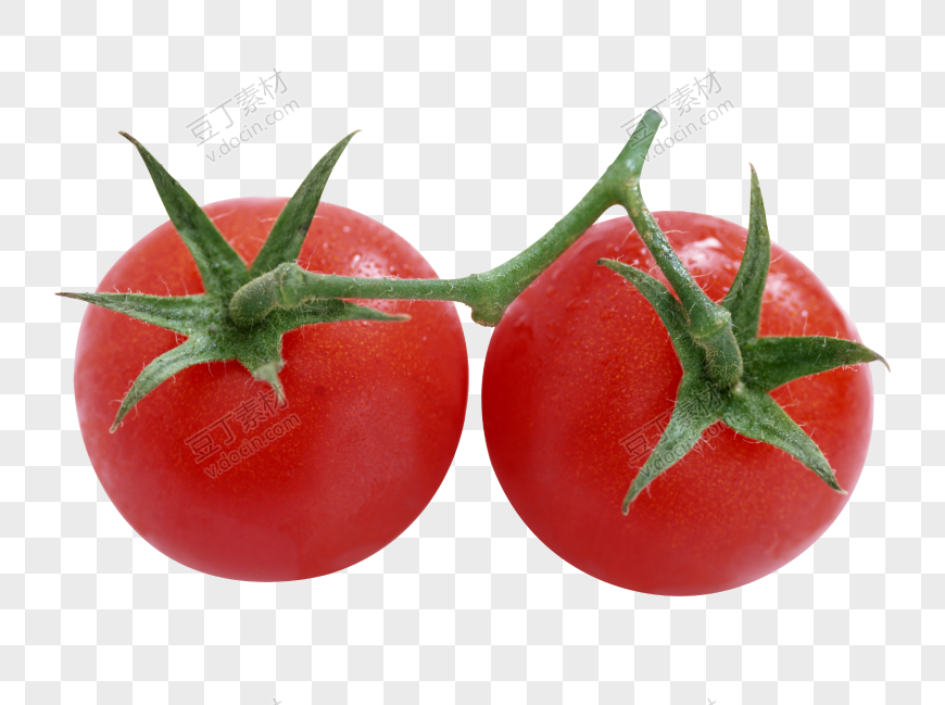 番茄、西红柿 (64)