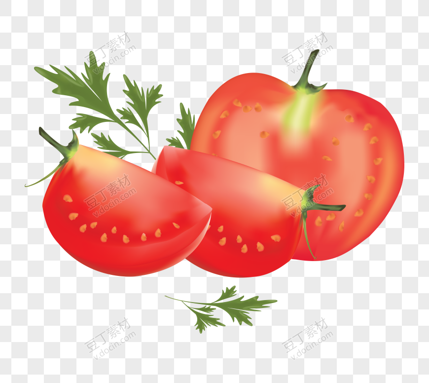 番茄、西红柿 (67)