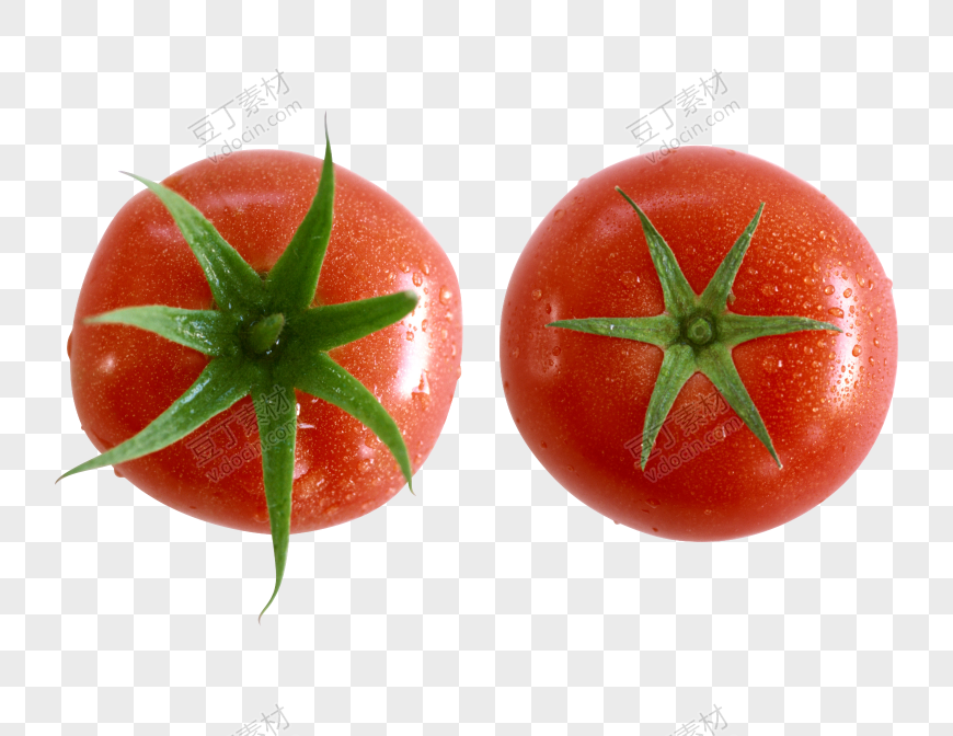 番茄、西红柿 (73)