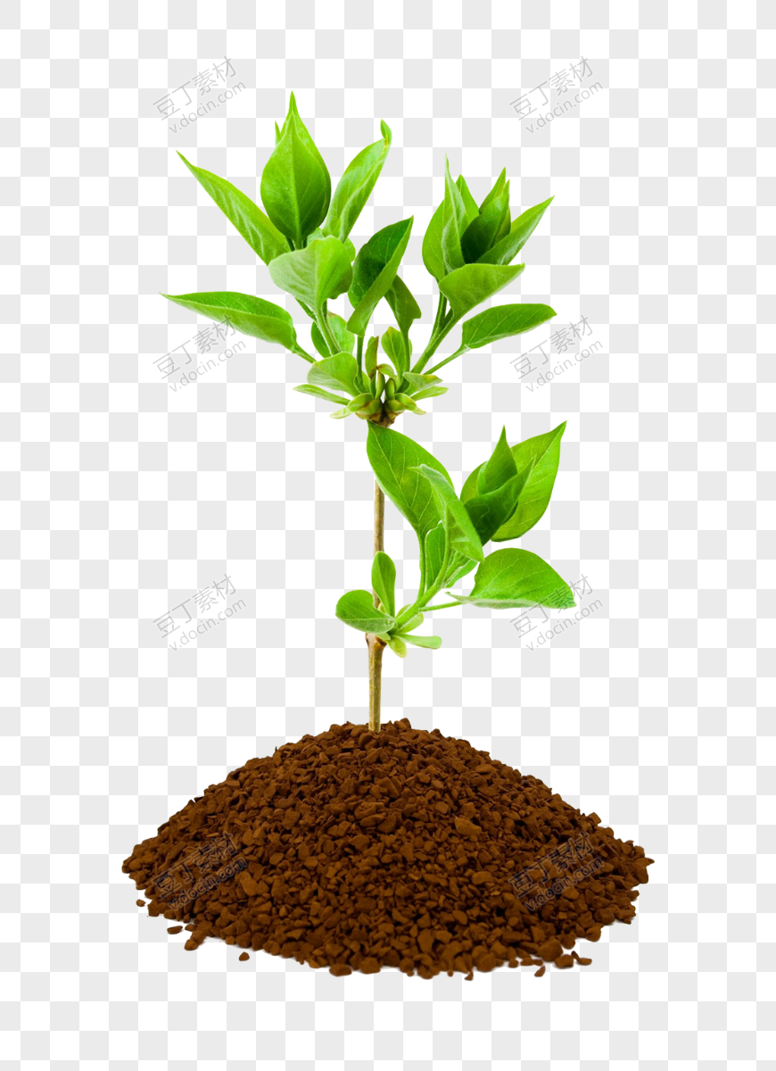 绿色环保树木素材泥土树