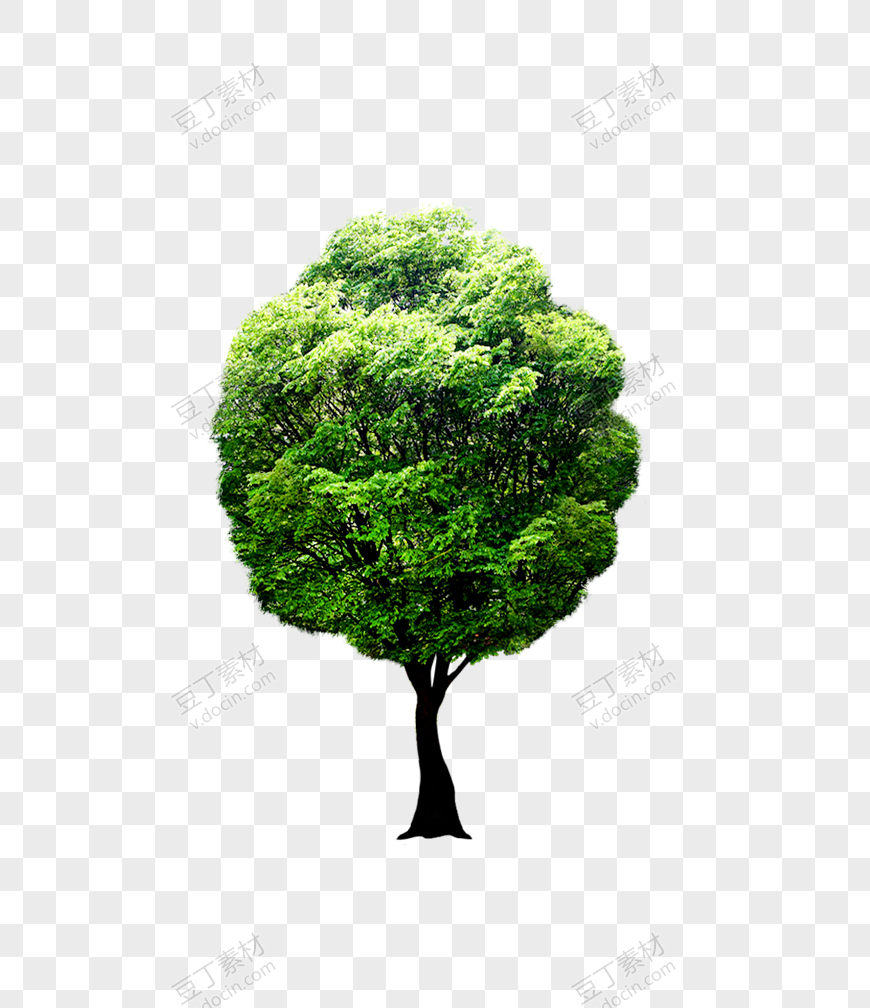 绿色环保树木素材一棵树