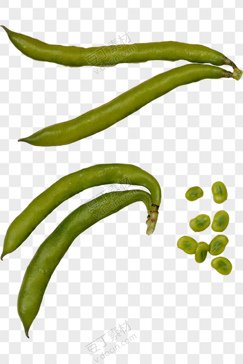 绿豆、豆角 (4)