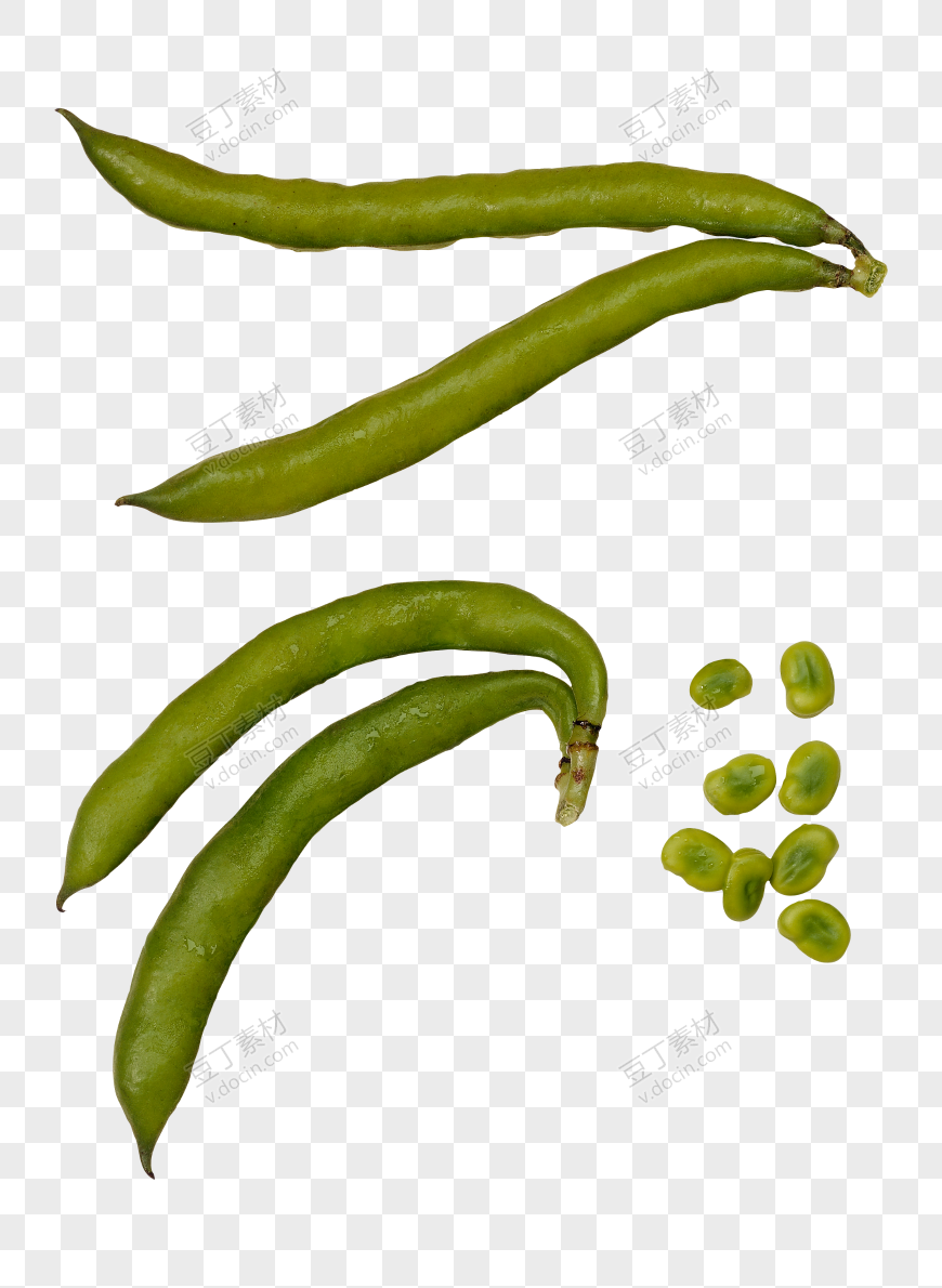 绿豆、豆角 (4)