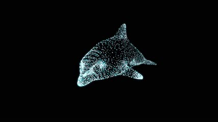 粒子数字海豚AE模板
