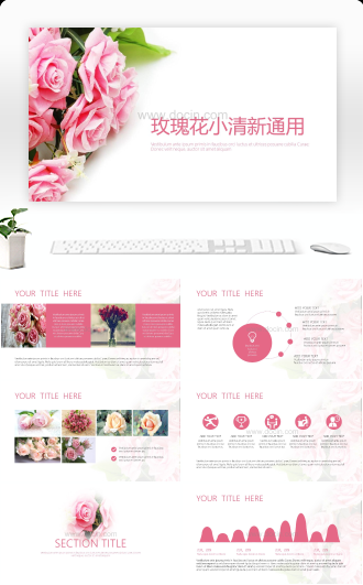 玫瑰花小清新通用PPT模板