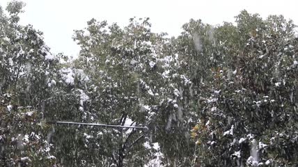 下雪景色实拍