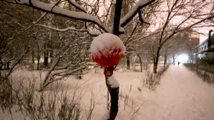 虎年的第一场大雪实拍