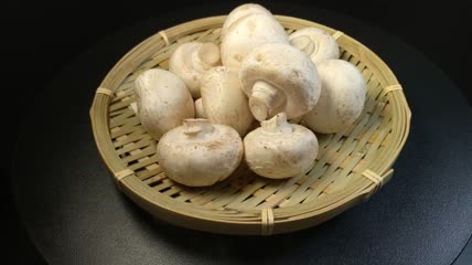 白蘑菇口菇实拍（5）
