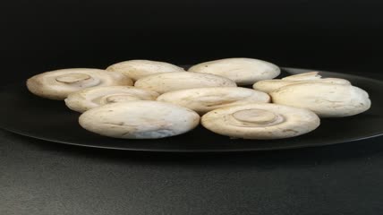 白蘑菇口菇实拍（6）