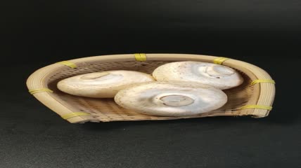 白蘑菇口菇实拍（10）