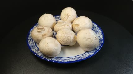 白蘑菇口菇实拍（13）
