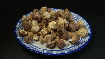 干松茸食用菌实拍（8）