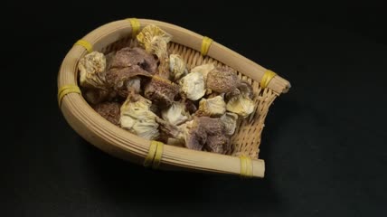 干松茸食用菌实拍（10）