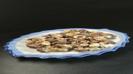 干松茸食用菌实拍（14）