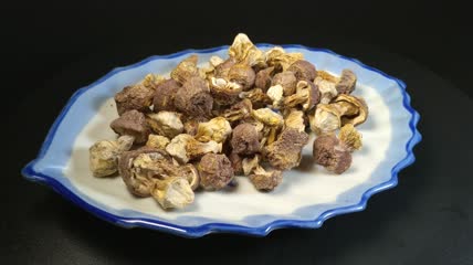 干松茸食用菌实拍（15）